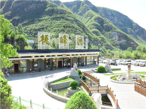  买桃峰陵园好还是买九里山公墓二区好？