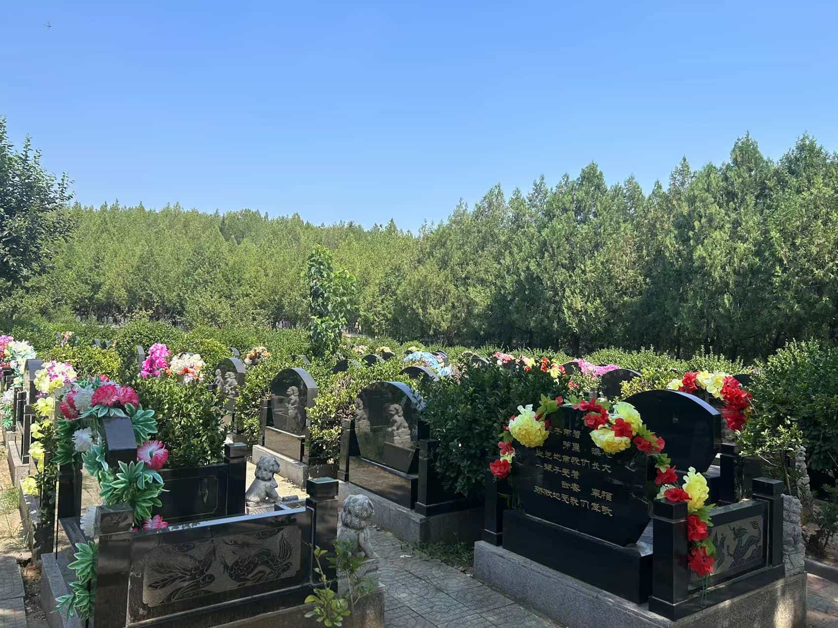 桃峰园