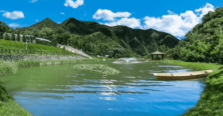  探寻九公山长城纪念林的独特魅力与生态葬之美