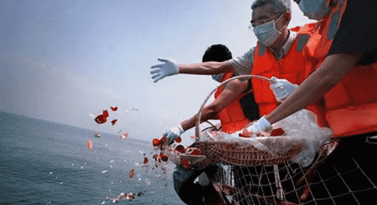 海撒是否对环境有害?海撒后如何进行纪念的祭扫?