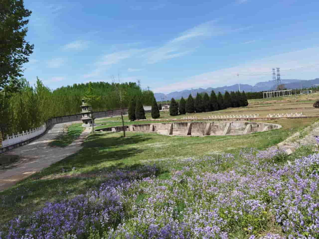  墓地永久管理：深度分析望山祖园公墓和皇家龙山陵园的未来规划