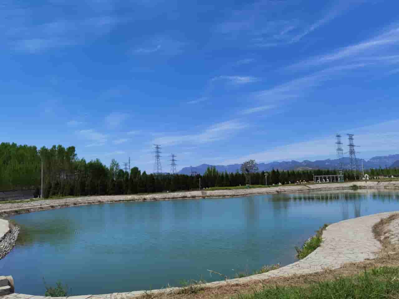  心系亲人，选墓地当问：望山祖园公墓和皇家龙山陵园哪家更具历史信誉?