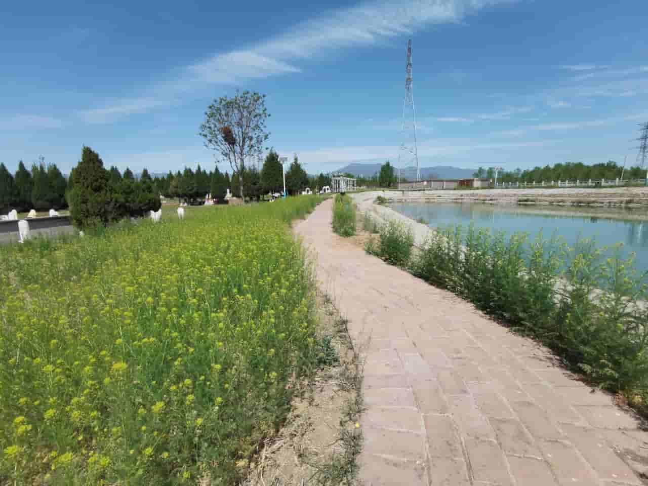  望山祖园公墓还是皇家龙山陵园：哪个提供更多个性化服务?