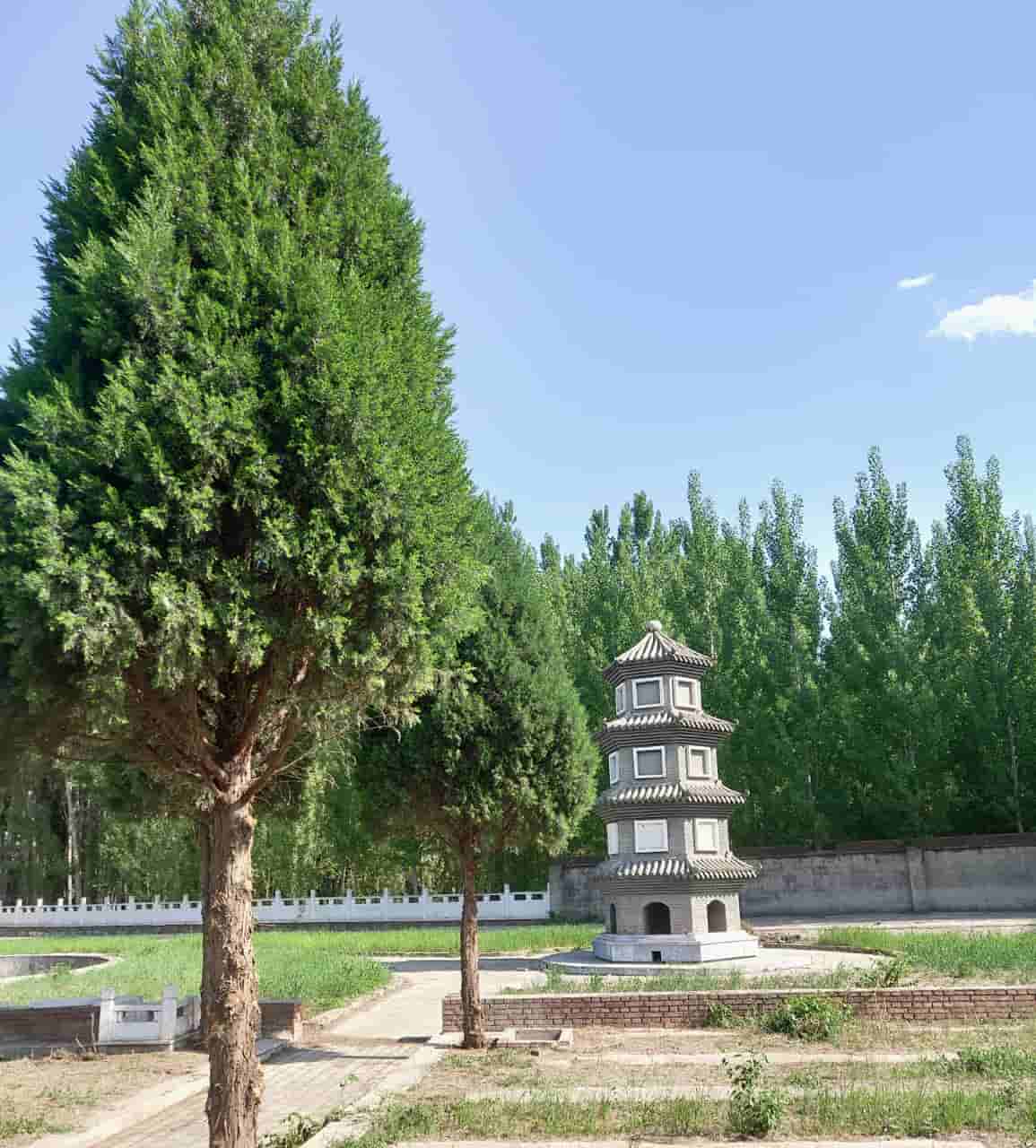 望山祖园
