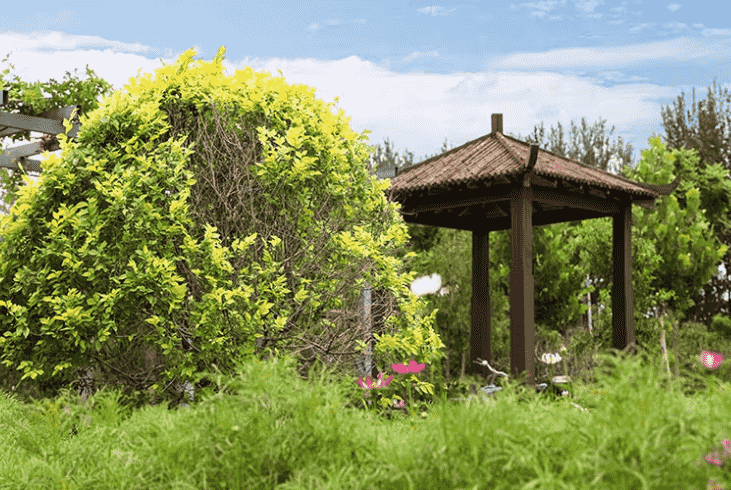  天缘神堂墓园 vs. 皇家龙山陵园: 为什么选择天缘神堂?