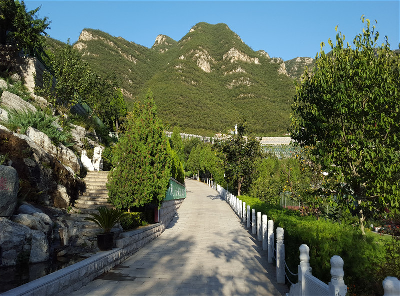  桃峰陵园现在还在出售吗？最低价格是多少？